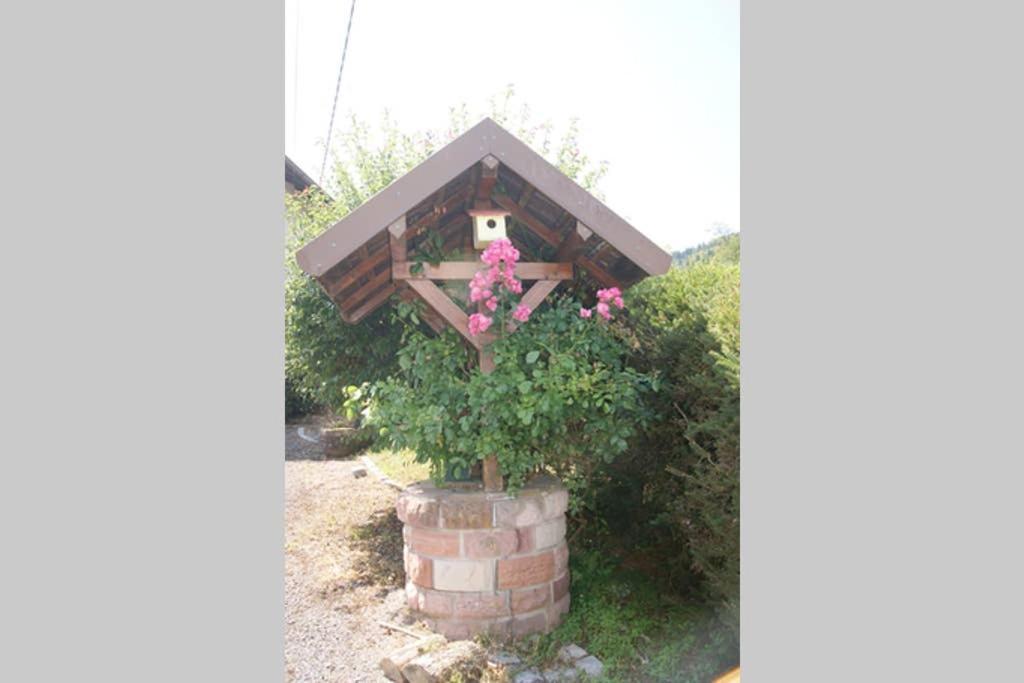 Lullaby House - Large, Full Comfort 5 Star Chalet House In The Vosges Ramonchamp Ngoại thất bức ảnh